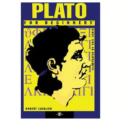 Plato for Beginners